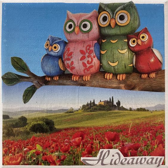 99. Hideaway