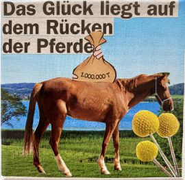26 - Das Glück liegt auf dem Rücken der Pferde