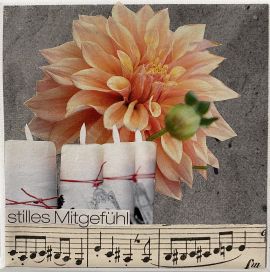 151. Stilles Mitgefühl